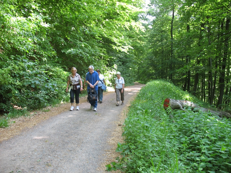 Wanderung 2011 035.jpg